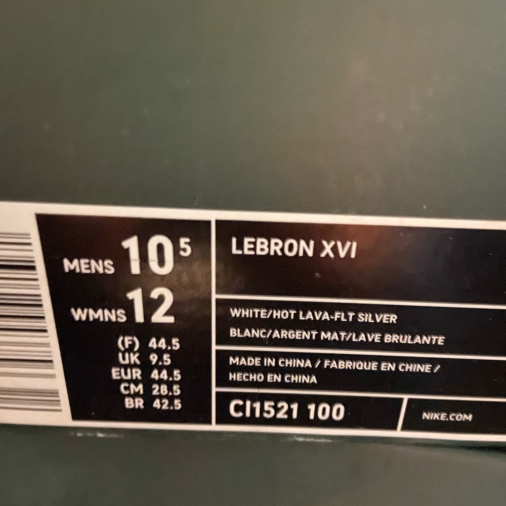 LebronXVI - Picture 2 of 3